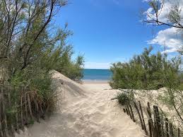 plage montpellier palavas